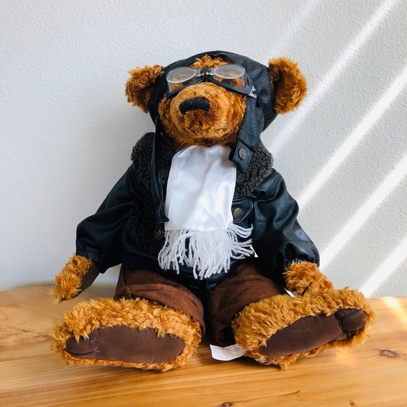 Teddy bear pilot - Picture 5 of 6